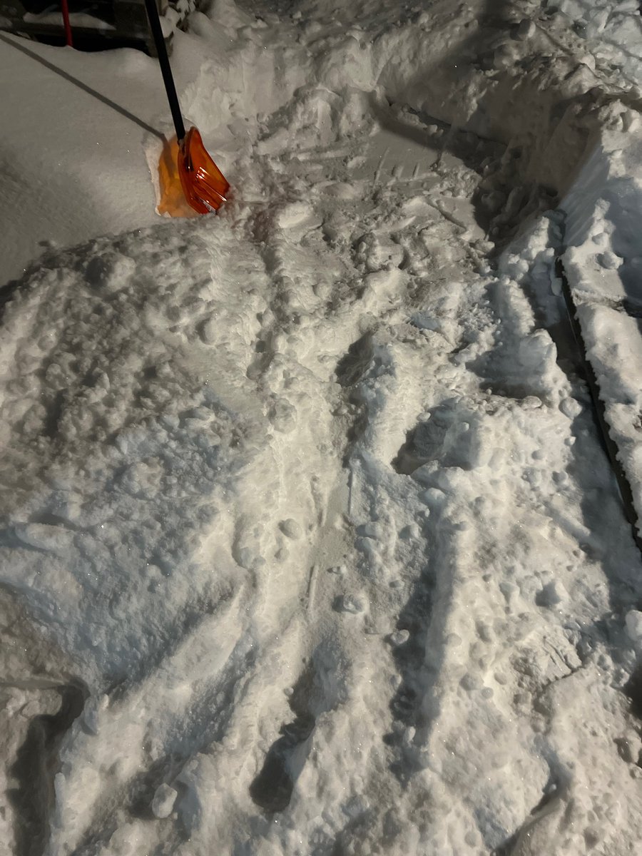 Сова_v_kedax tweet media