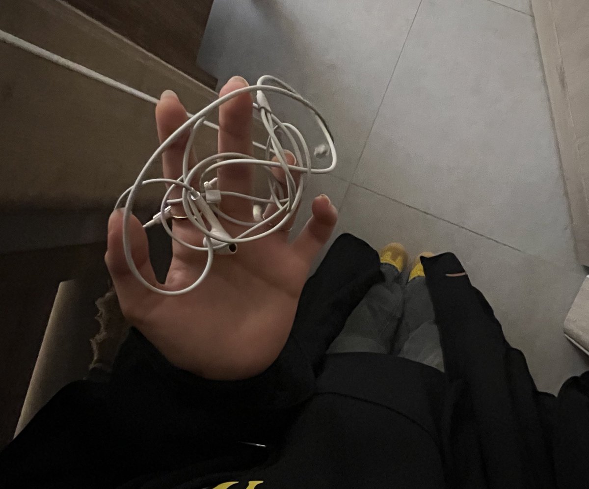 AliceTheshell's tweet image. 