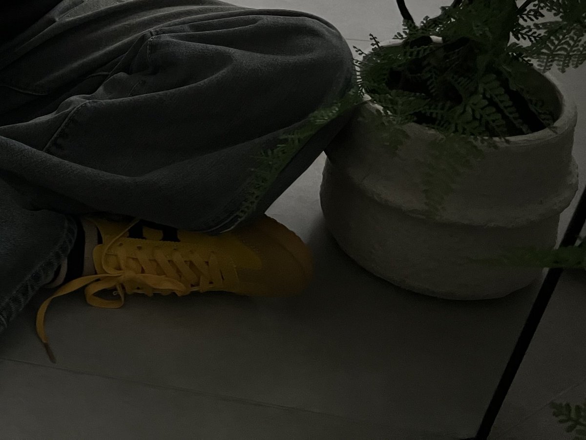 AliceTheshell's tweet image. 