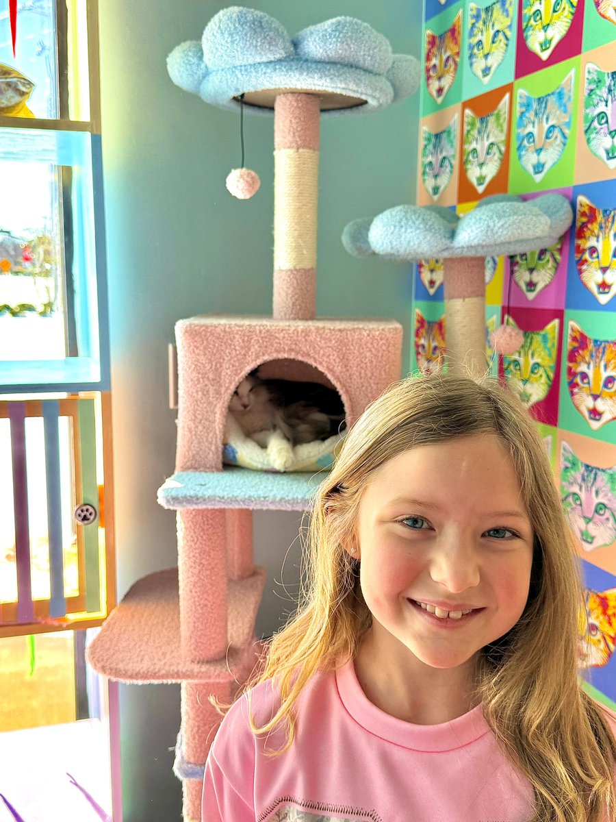 memphissippi901's tweet photo. Took Kellianne to Fancy Cat Cafe &amp; had an absolute blast! 🐱 🐈 🐈‍⬛ https://t.co/eUv94s2YEZ