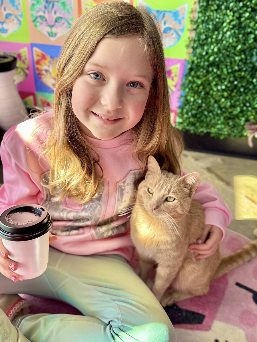 memphissippi901's tweet photo. Took Kellianne to Fancy Cat Cafe &amp; had an absolute blast! 🐱 🐈 🐈‍⬛ https://t.co/eUv94s2YEZ