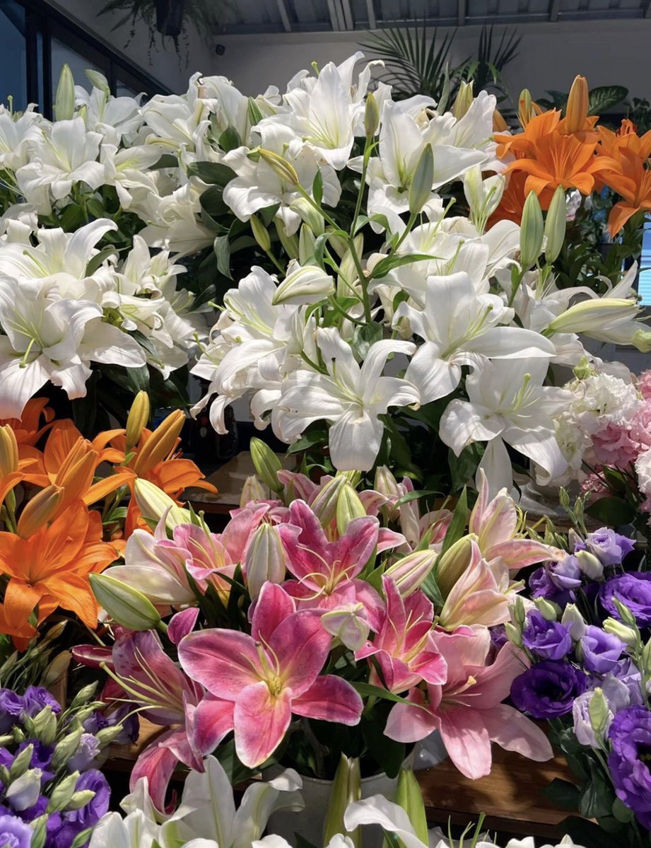 i3Moment's tweet image. Lilies