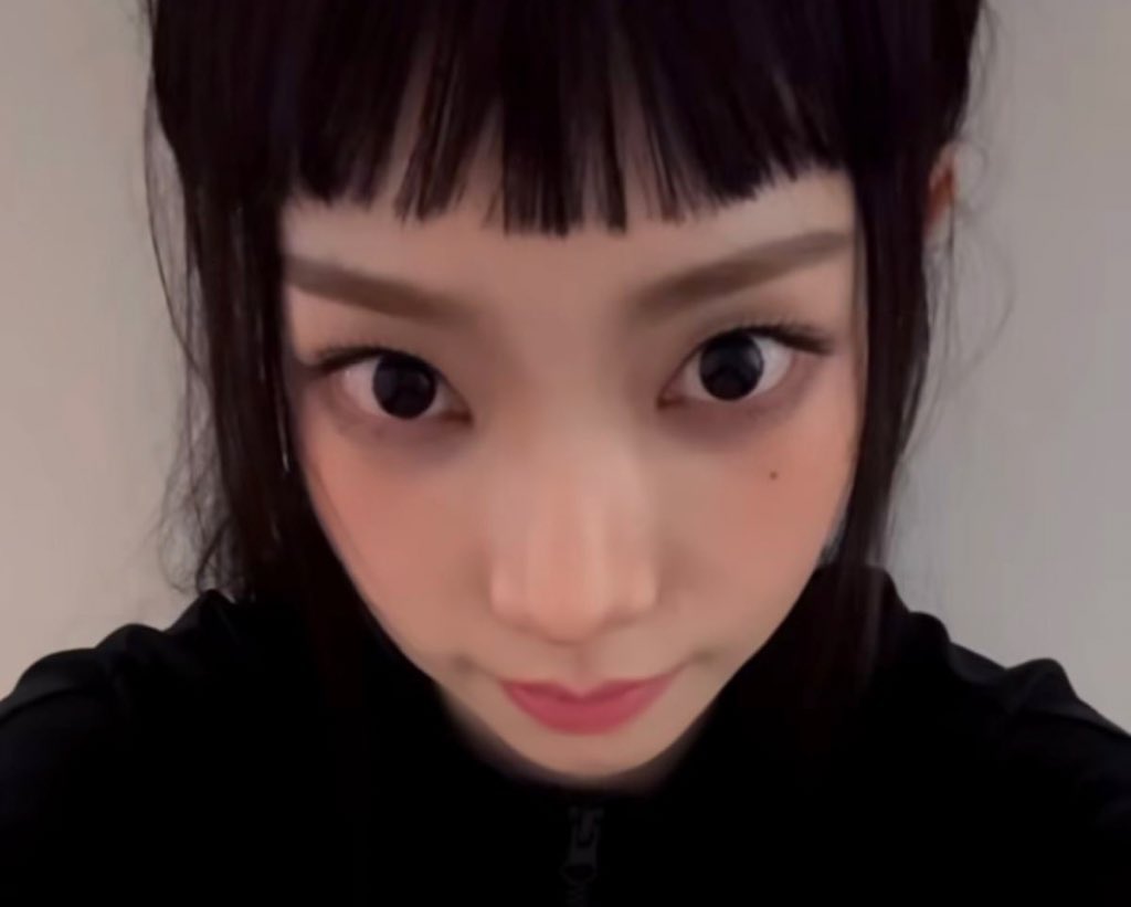 icurina's tweet image. I hired this cat to stare at u