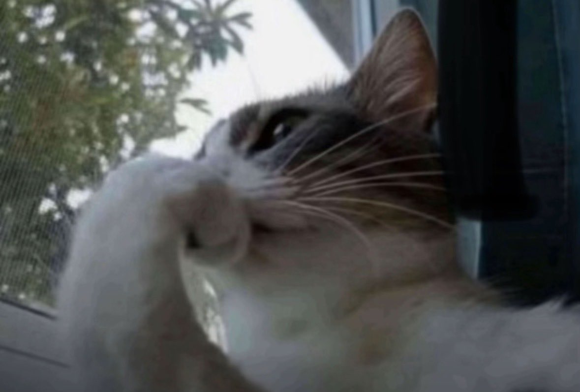 𝐋𝐮𝐧𝐚𝐞 ✧ tweet media