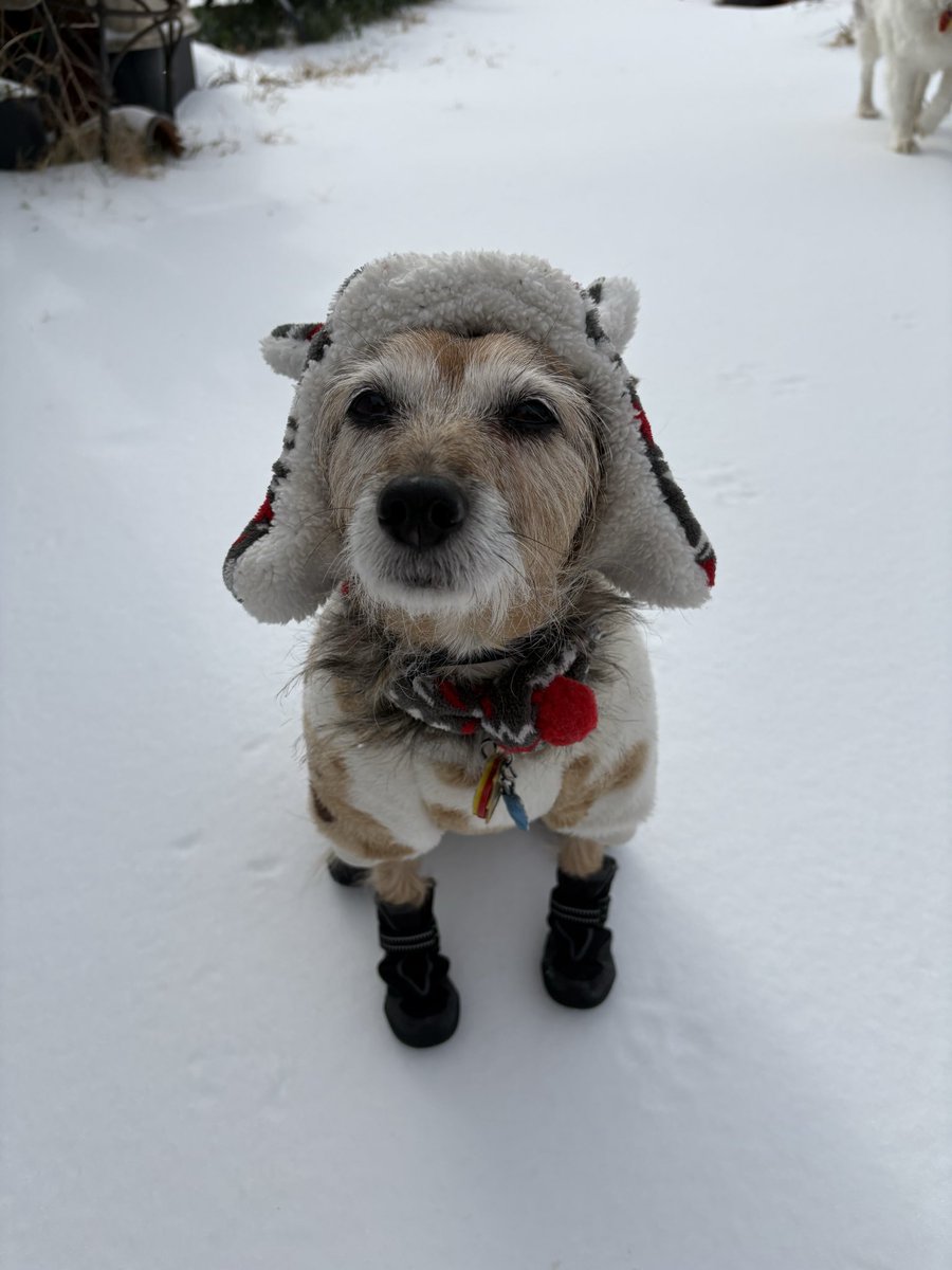 It’s been icy ❄️