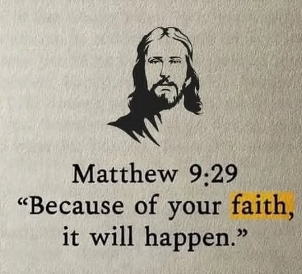 Asheville MOVING  CO tweet media