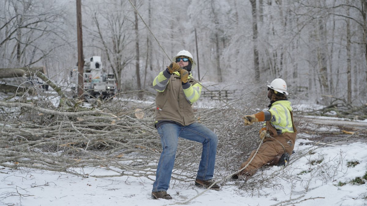 MidTnElectric tweet media