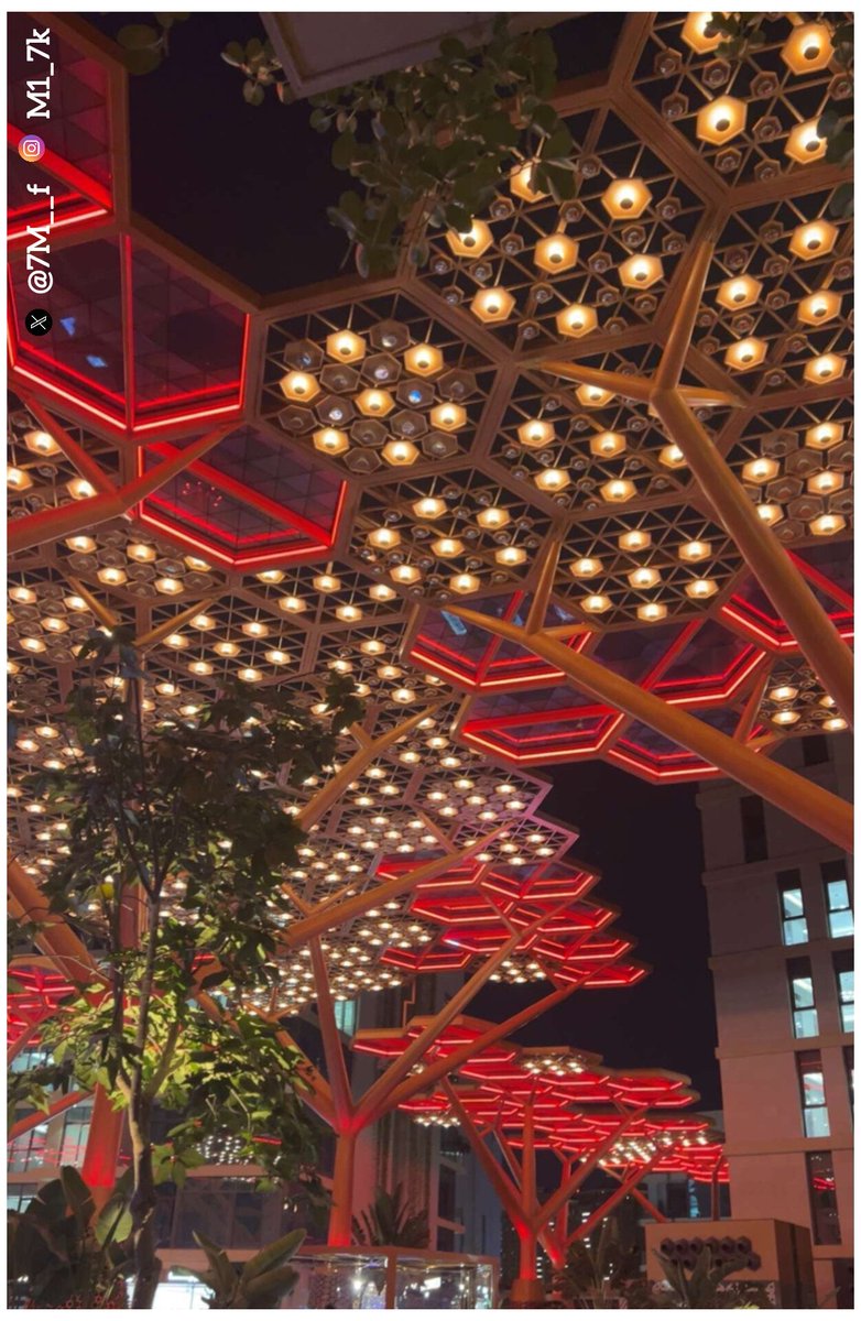 مروءة امرأة tweet media