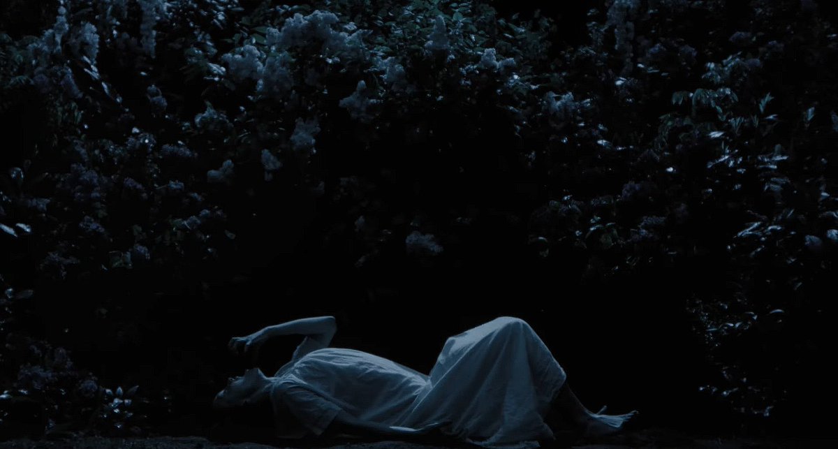 KI11ERKLOWNS's tweet image. gothic horror my beloved