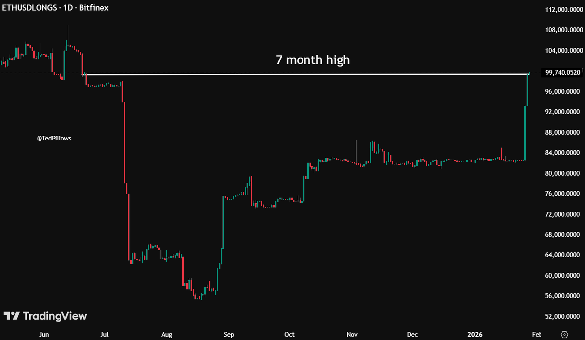 Ted (@TedPillows) / Posts / X