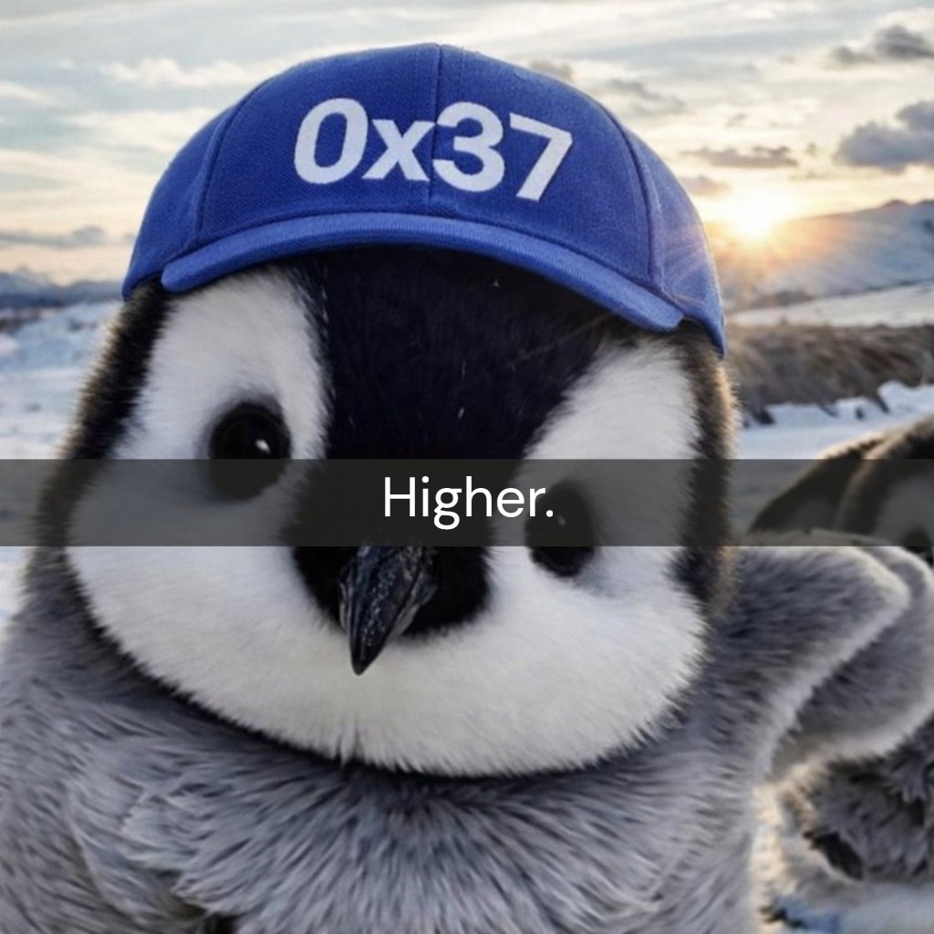 Based Nietzschean Penguin tweet media