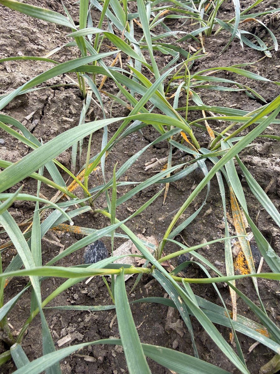 Christina H. Hagerty tweet media