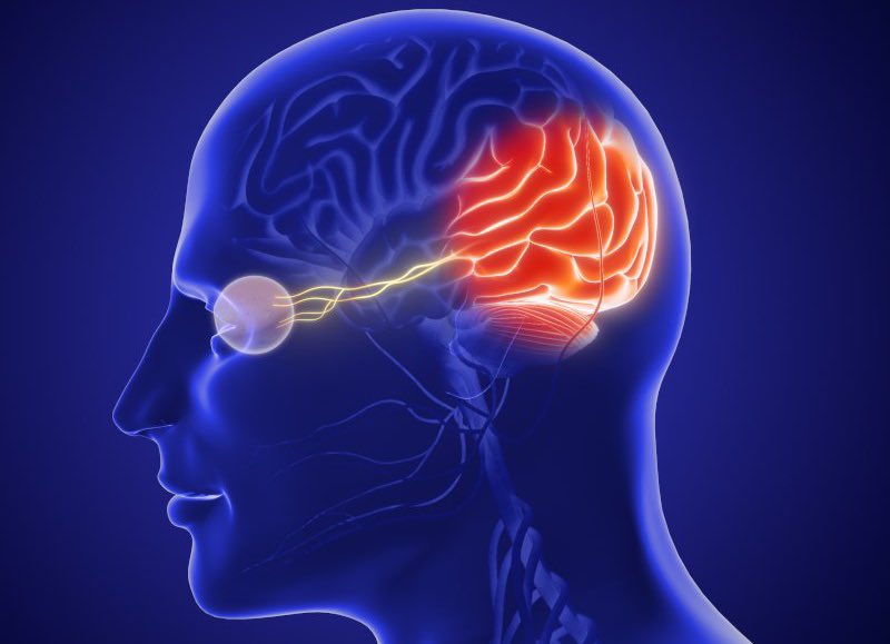 niccruzpatane's tweet photo. Elon Musk says @neuralink is ready to install their first Blindsight augment which will enable those who have lost both eyes and their optic nerve to see. (Pending regulatory approval) 

Provided the visual cortex is intact, it will even enable those who have been blind from birth to see for the first time according to Elon. 

He even mentioned it could enable you to see in infrared, ultraviolet or even radar wavelengths in the future. Wild.