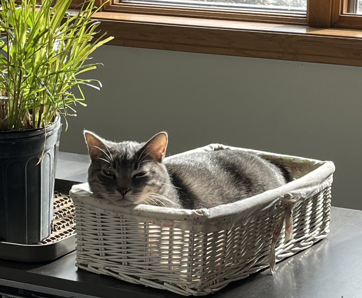 BeakerBird tweet media