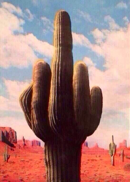 jescelnao's tweet image. Plus jamais un de ces pays ne perdra 1 seul soldat pour les États-Unis 
Fini
#ByeAmerica