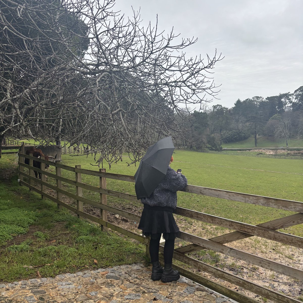 Public #Enemy tweet media