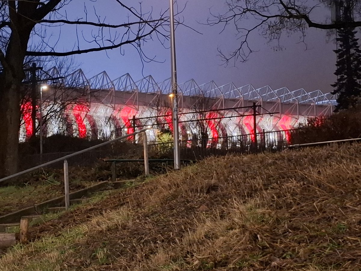 Rik Elfrink tweet media