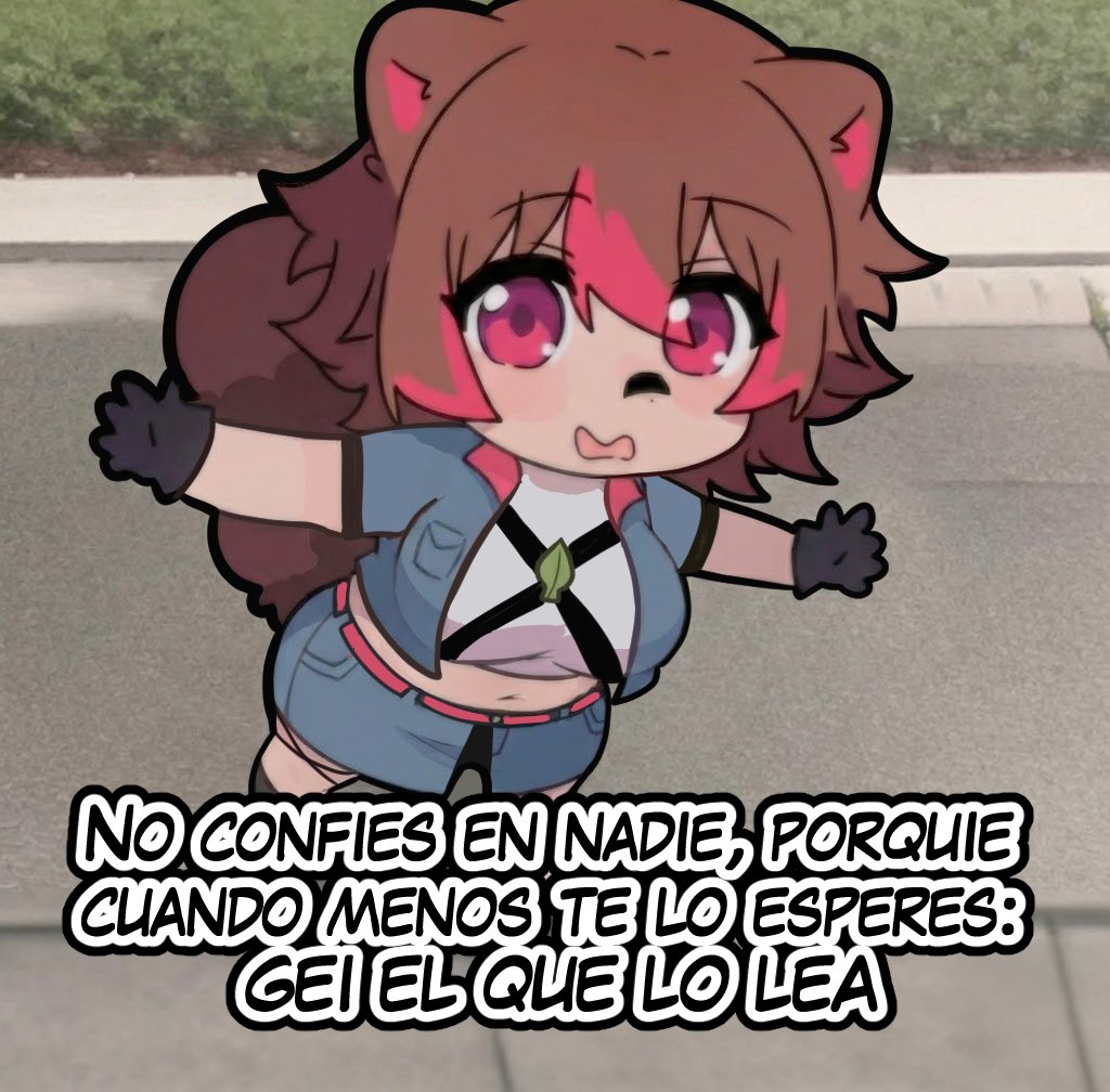 Rakkun 🦝🍀 tweet media