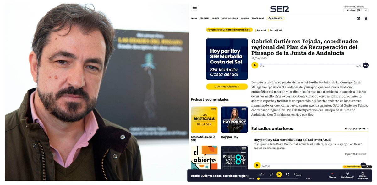 Abies_gabriel's tweet image. Entrevista en el programa «Hoy por hoy» de la Cadena Ser, con Ángeles Cervantes, sobre la exposición «Las edades del pinsapo» y los pinsapares andaluces: cadenaser.com/audio/17696031…