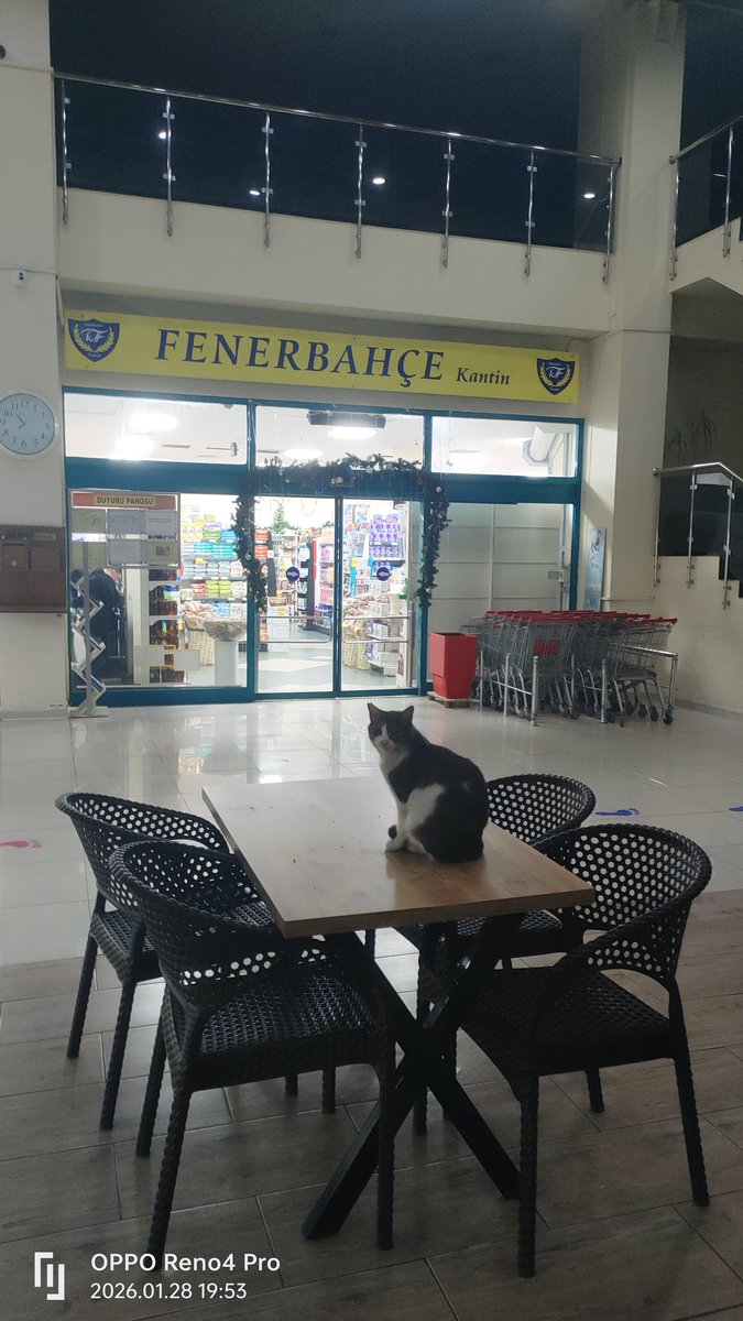 Miraç KAVALA tweet media