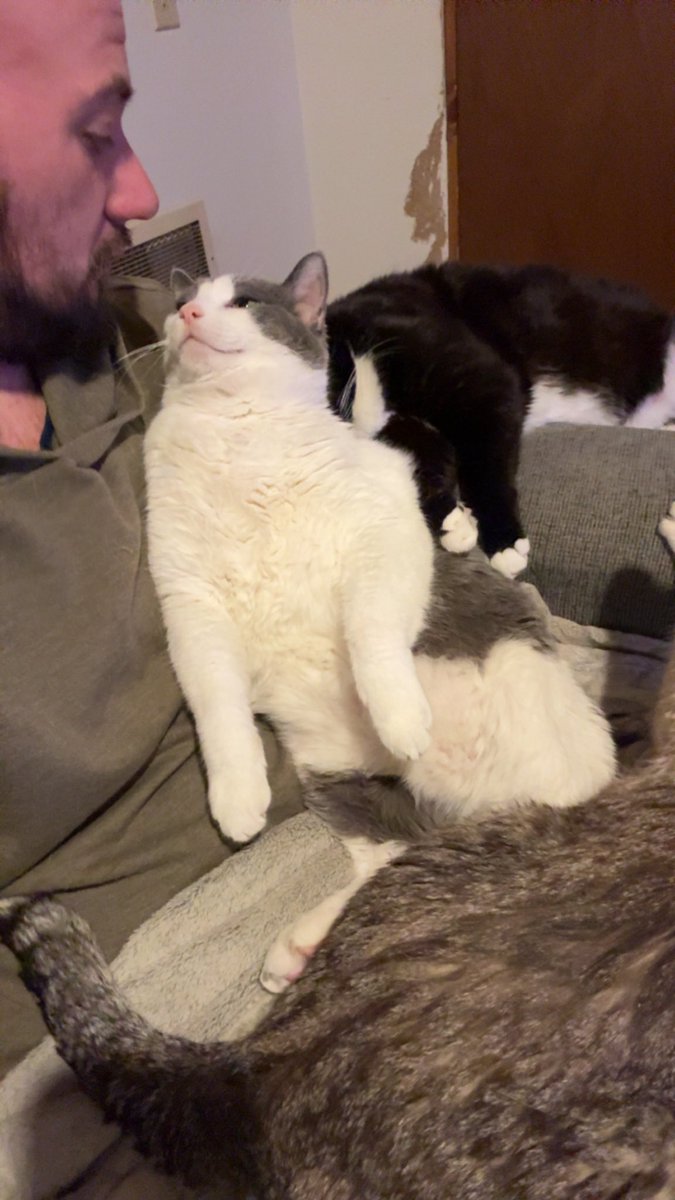 ShadyHo0224's tweet photo. https://t.co/f7kxkCbRi2