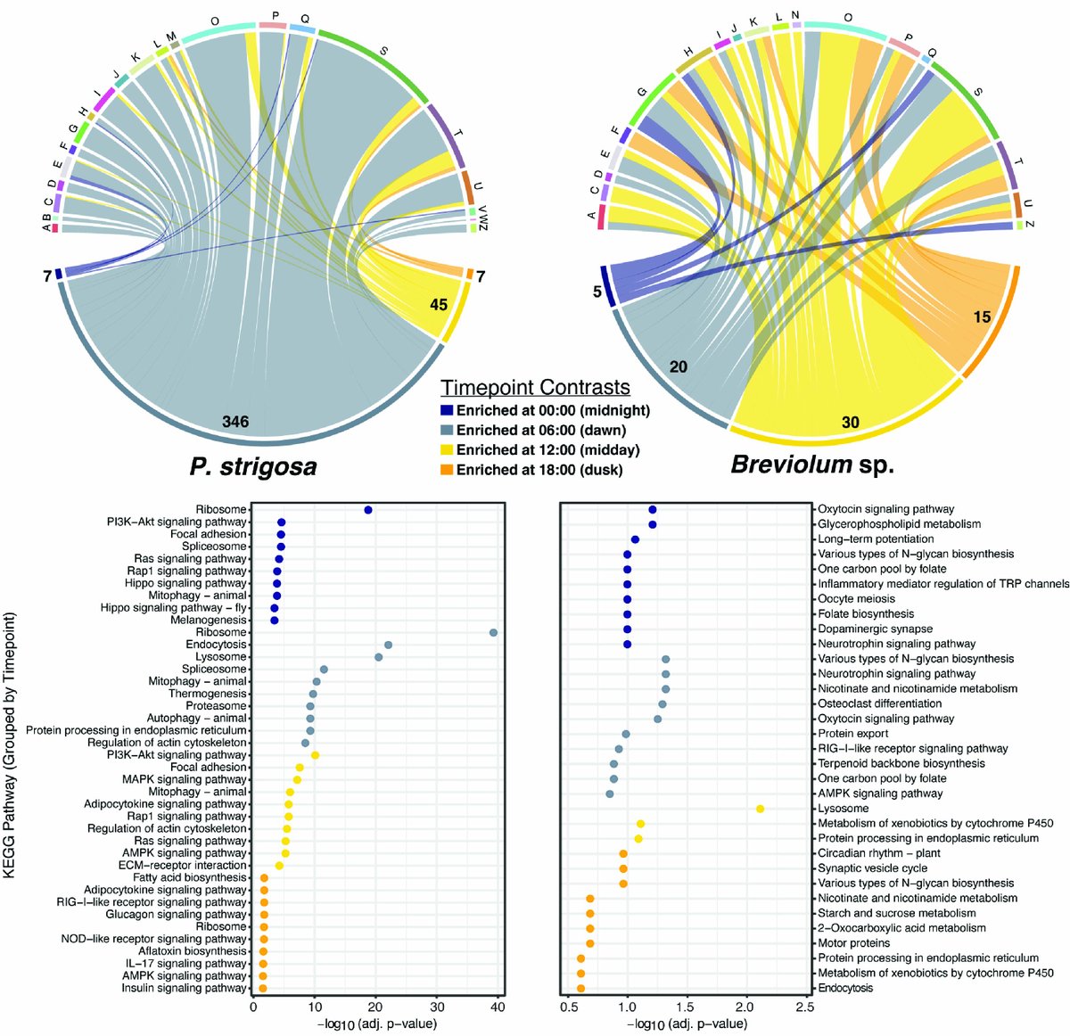 Brad Weiler, PhD tweet media