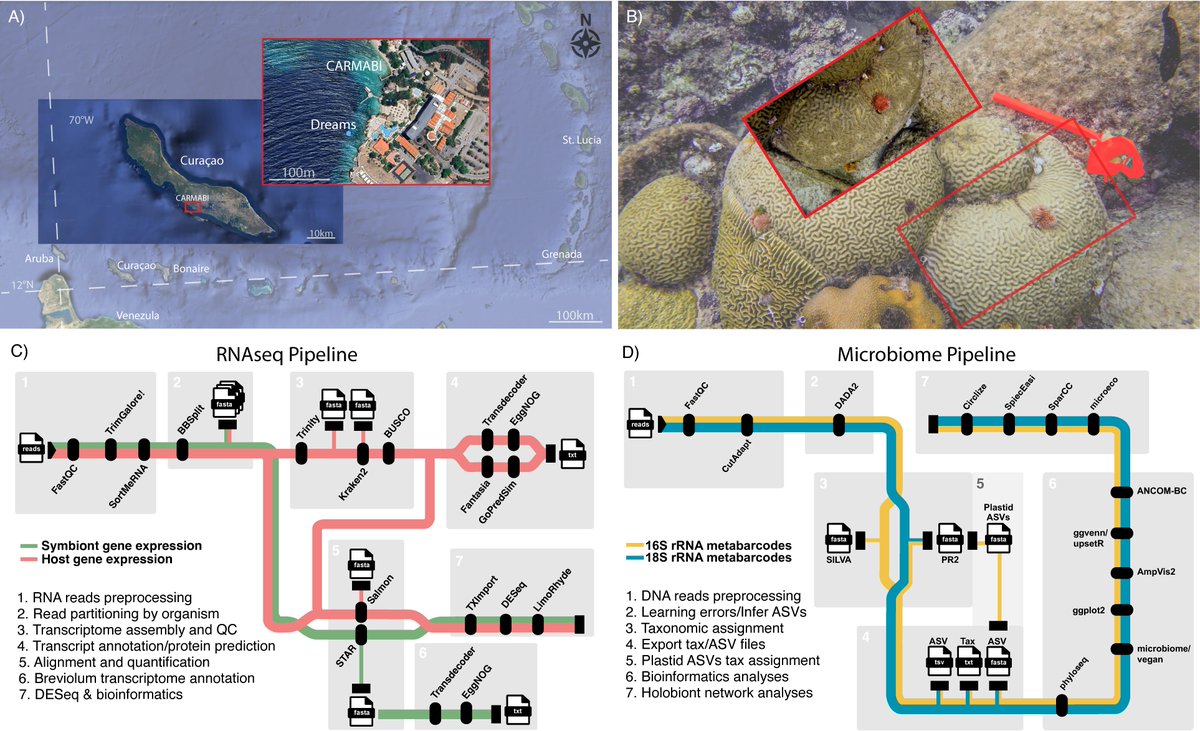 Brad Weiler, PhD tweet media