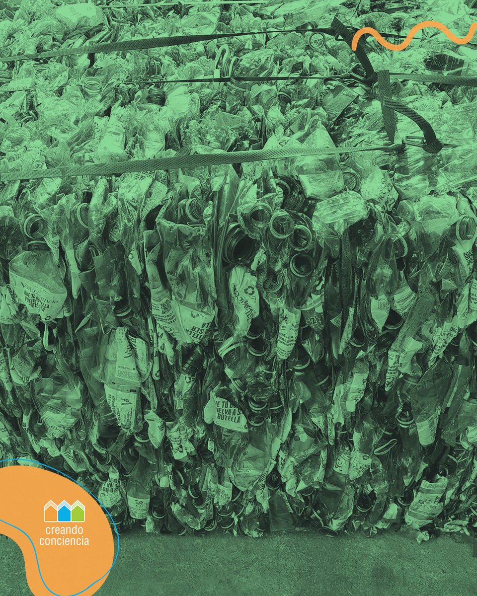 Una vez clasificado, el PET se compacta en grandes fardos que optimizan transporte y almacenamiento.

Es impresionante ver cómo miles de botellas se convierten en bloques listos para volver a ser industria.

♻️ Economía circular en acción.

#ReciclajeResponsable #cuidadoambiental