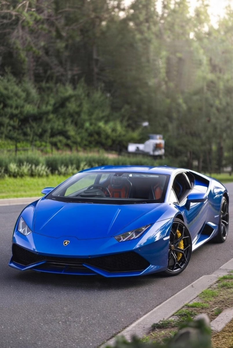 1000xgirl tweet media