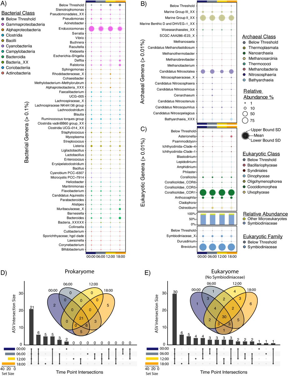 Brad Weiler, PhD tweet media