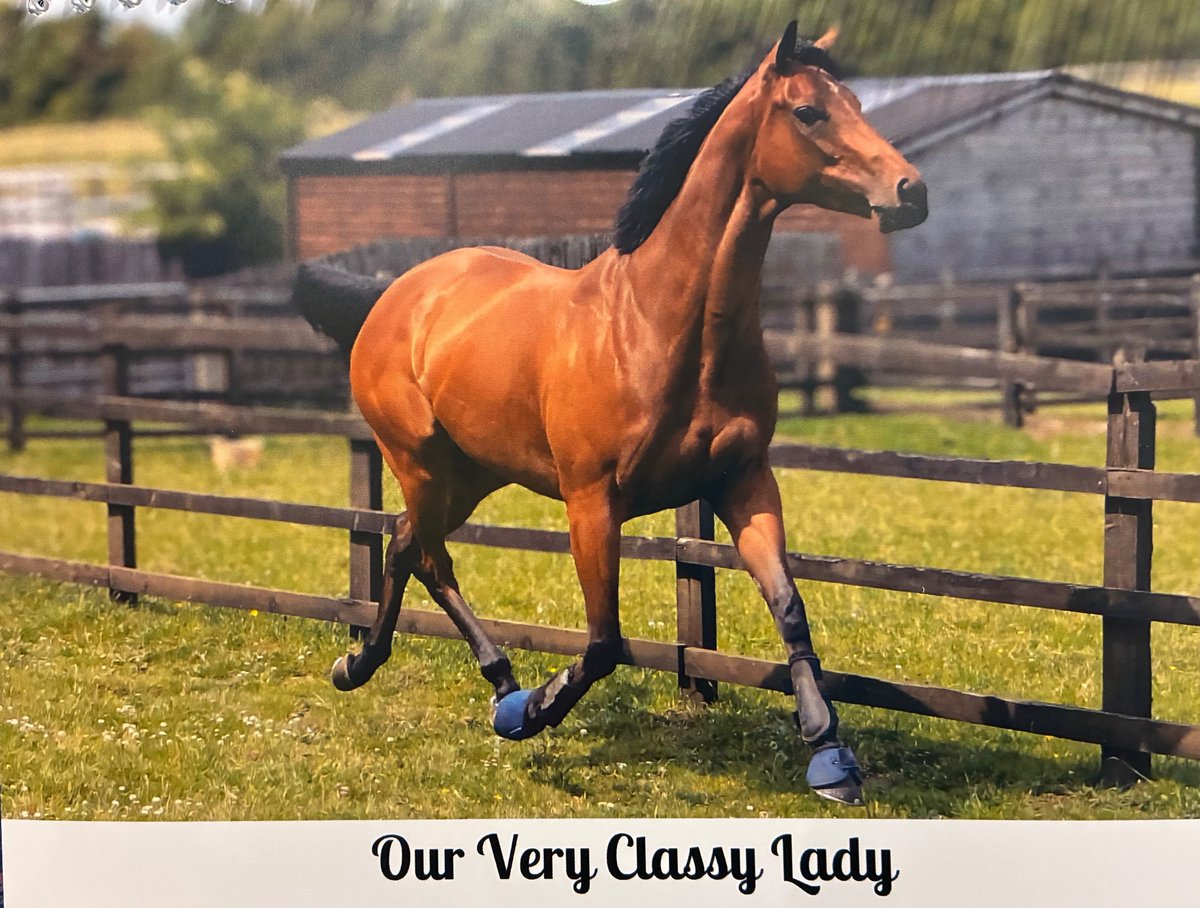 Newstart Racing tweet media