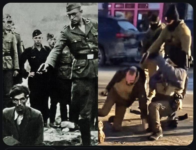 Alexoo4's tweet image. I don't feel safe as an American citizen  under trump's corrupt, dangerous hellhole.