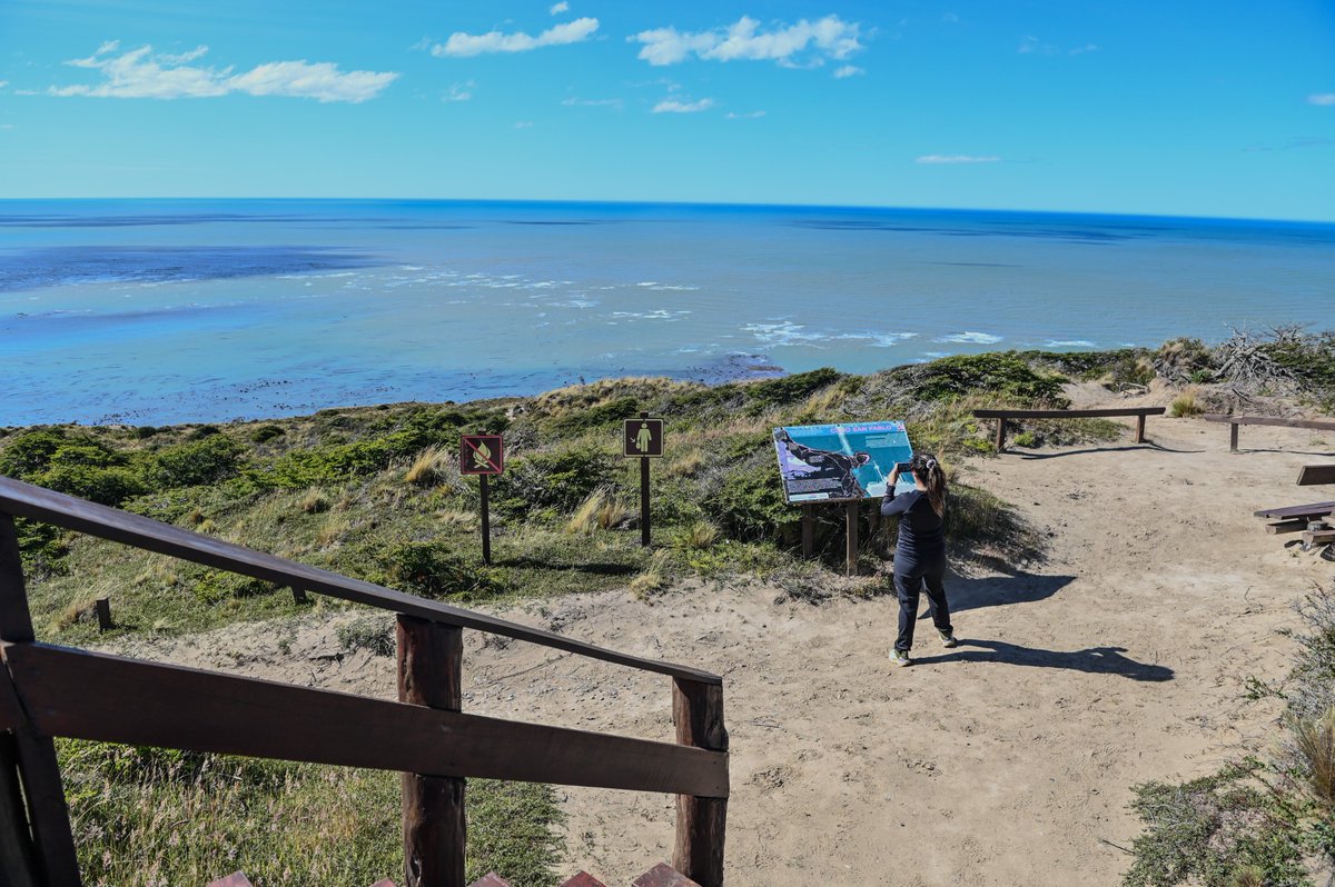 Tierra del Fuego - Fin del Mundo tweet media
