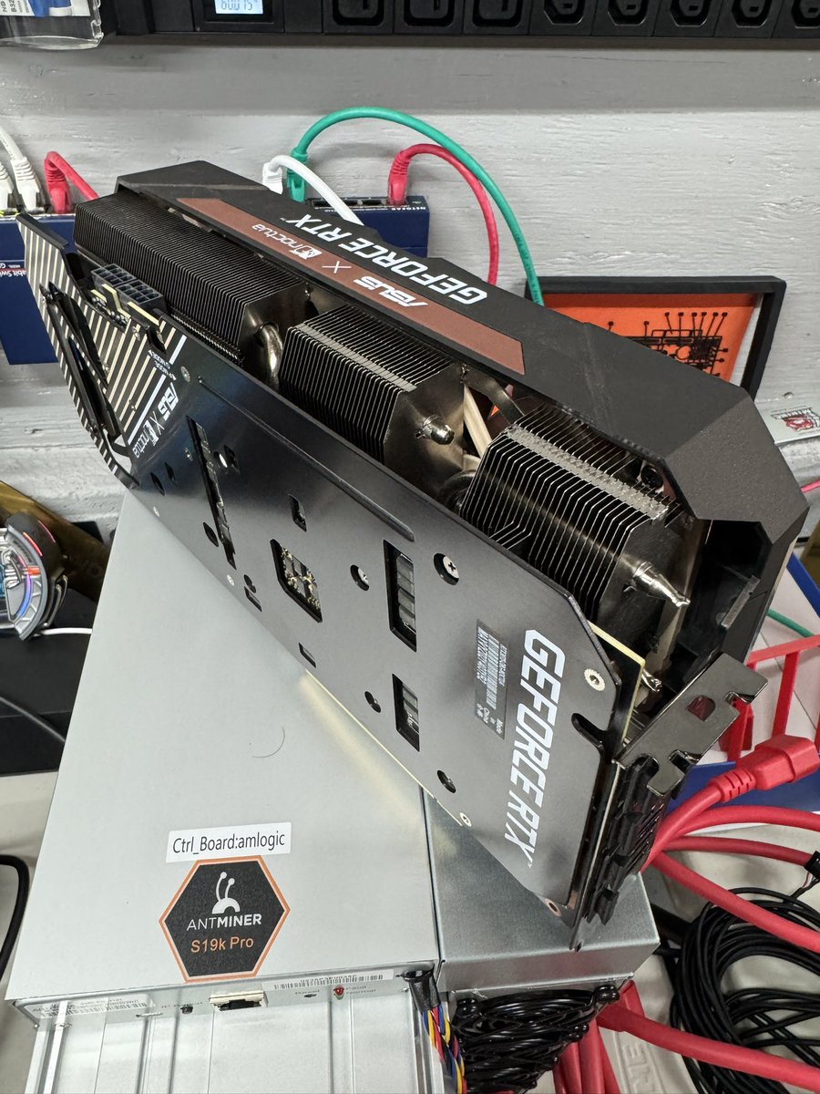 Red Panda Mining tweet media