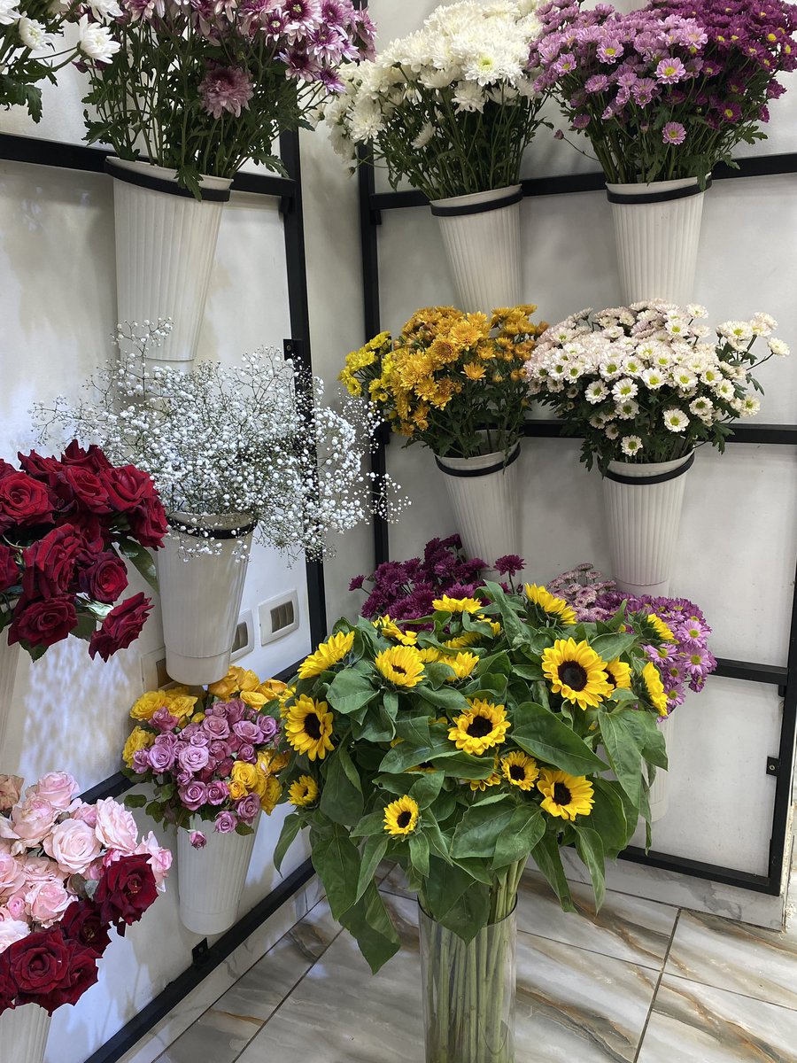 bebobos9's tweet image. 