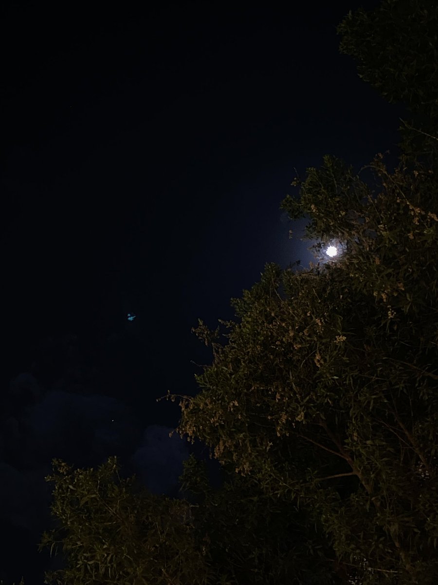 bebobos9's tweet image. 