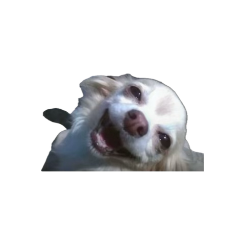 hsonrecord's tweet photo. @mmithfreak but ur also the light of my life reason for living https://t.co/zdwyT7i76a