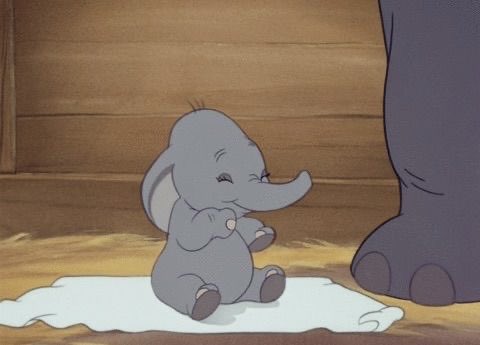 dreamyyarchive's tweet image. 