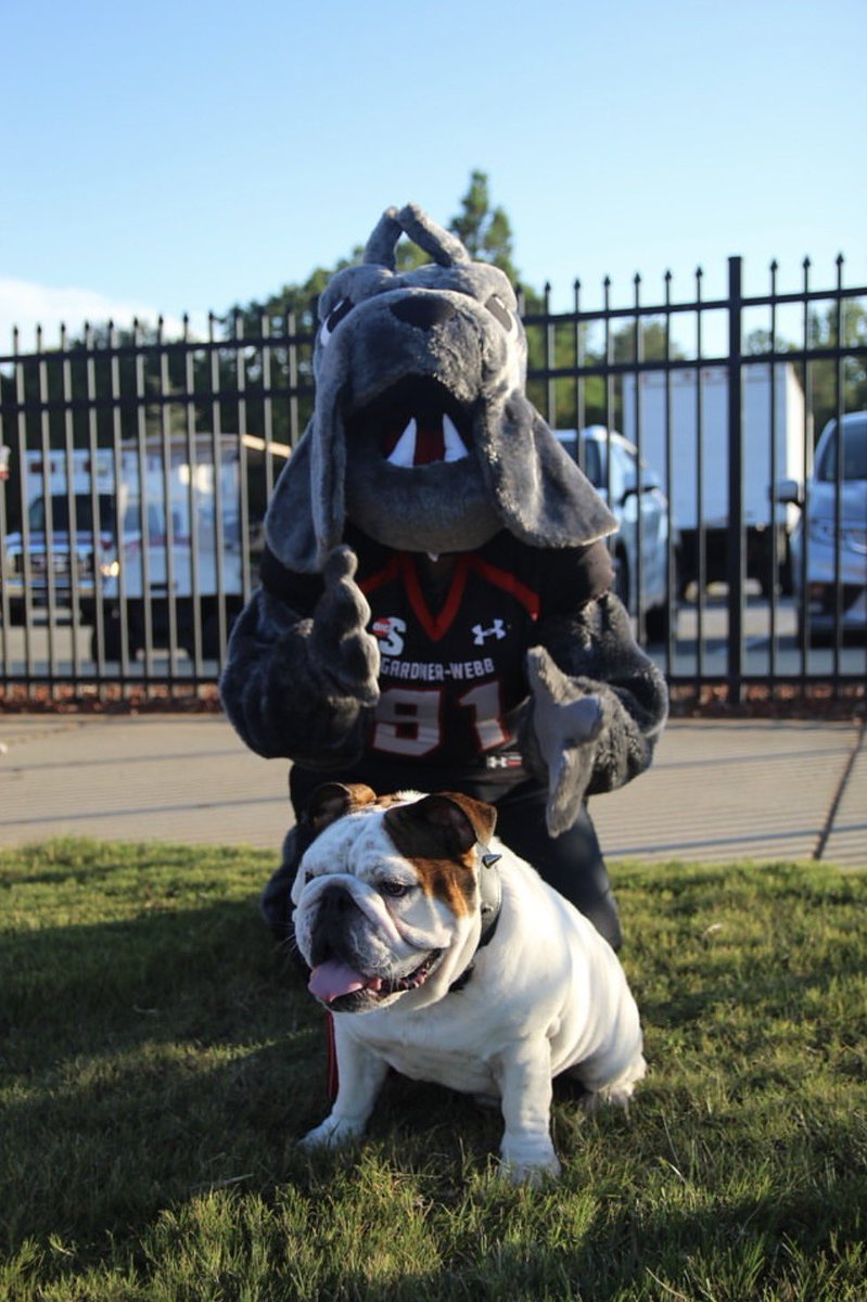 tylermel2026's tweet image. Gardner-webb Re-offered
@CoachSimms_ @coachbags4 @RecruitEG @EGWildcatFB