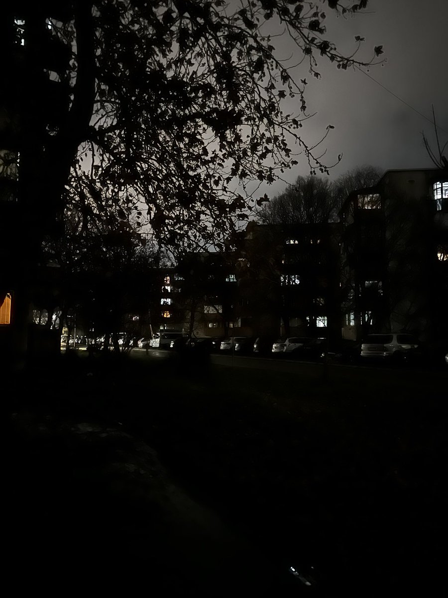 David Ristevski tweet media