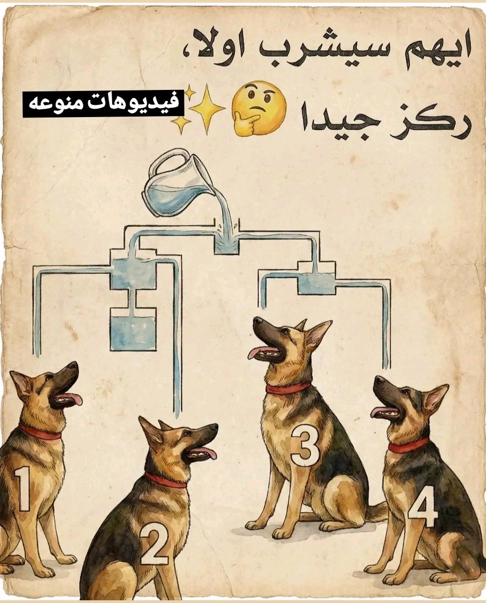 فيديوهات منوعه tweet media