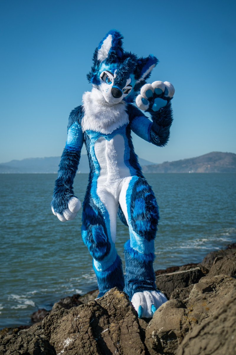 I came out of the ocean just for you 

📸 <a href="/Rainefolfo/">raine</a>