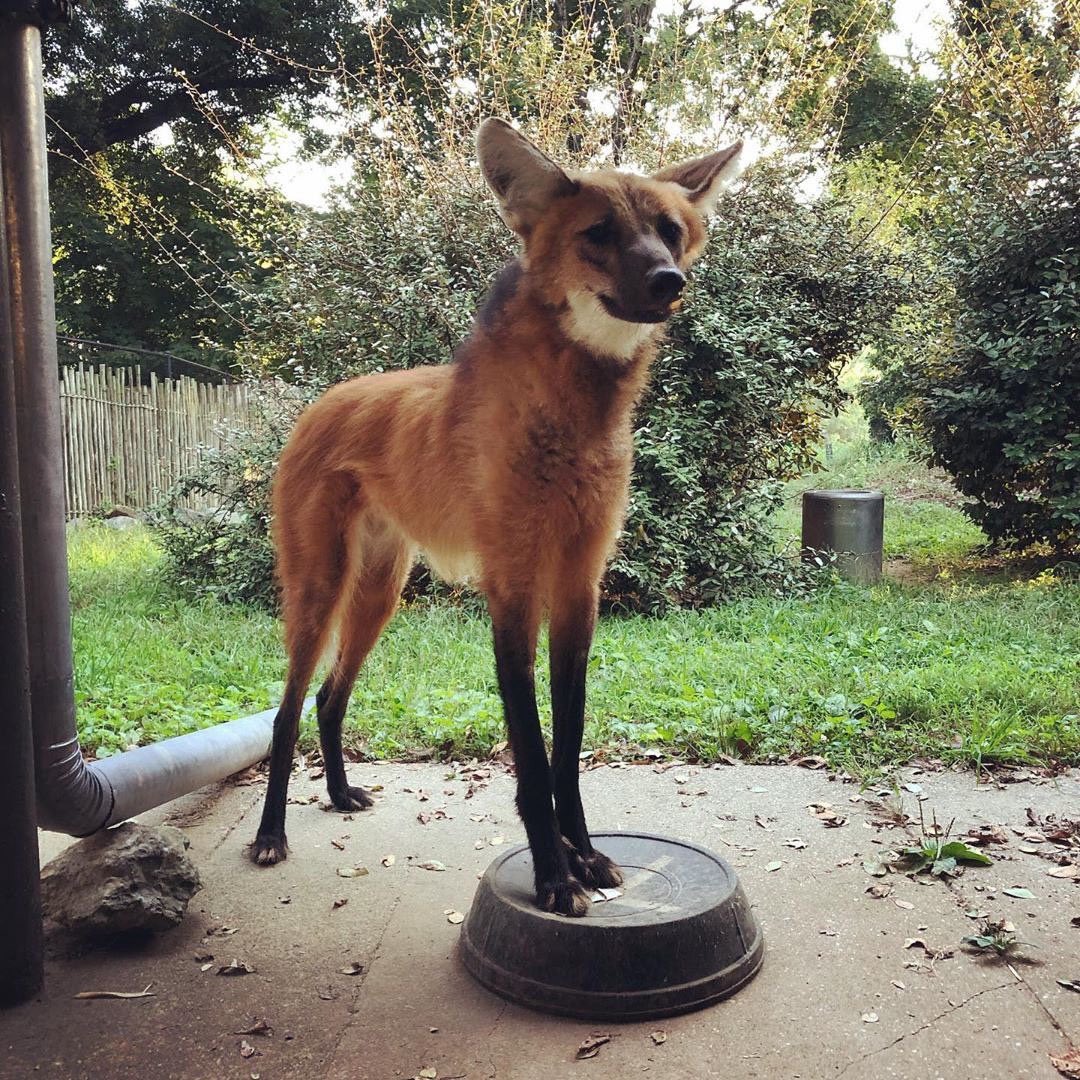 jolly the jolly tweet media