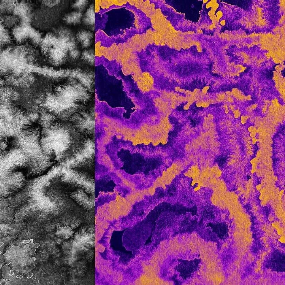 Million Dollar Snare tweet media