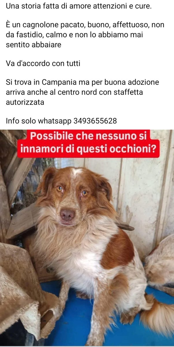 giuseppe esposito (@geisup) on Twitter photo 