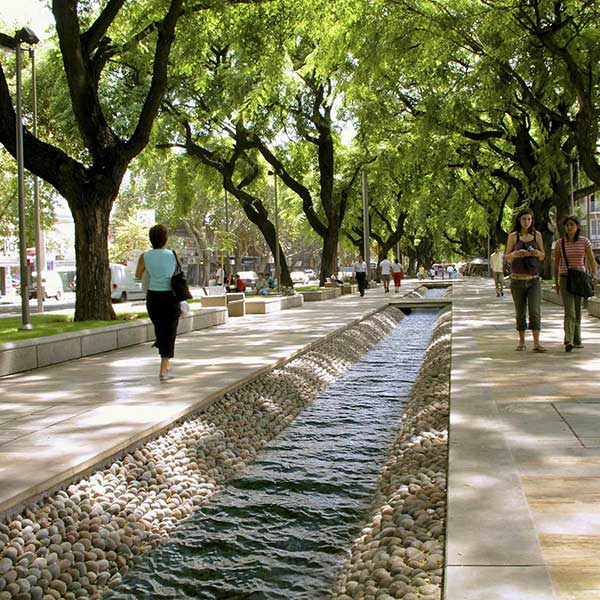 🄵er 🄻eiva 🇦🇷 ⭐⭐⭐ tweet media