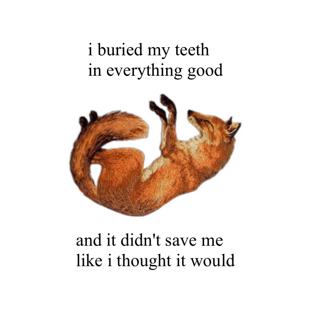 fatalplants's tweet image. 