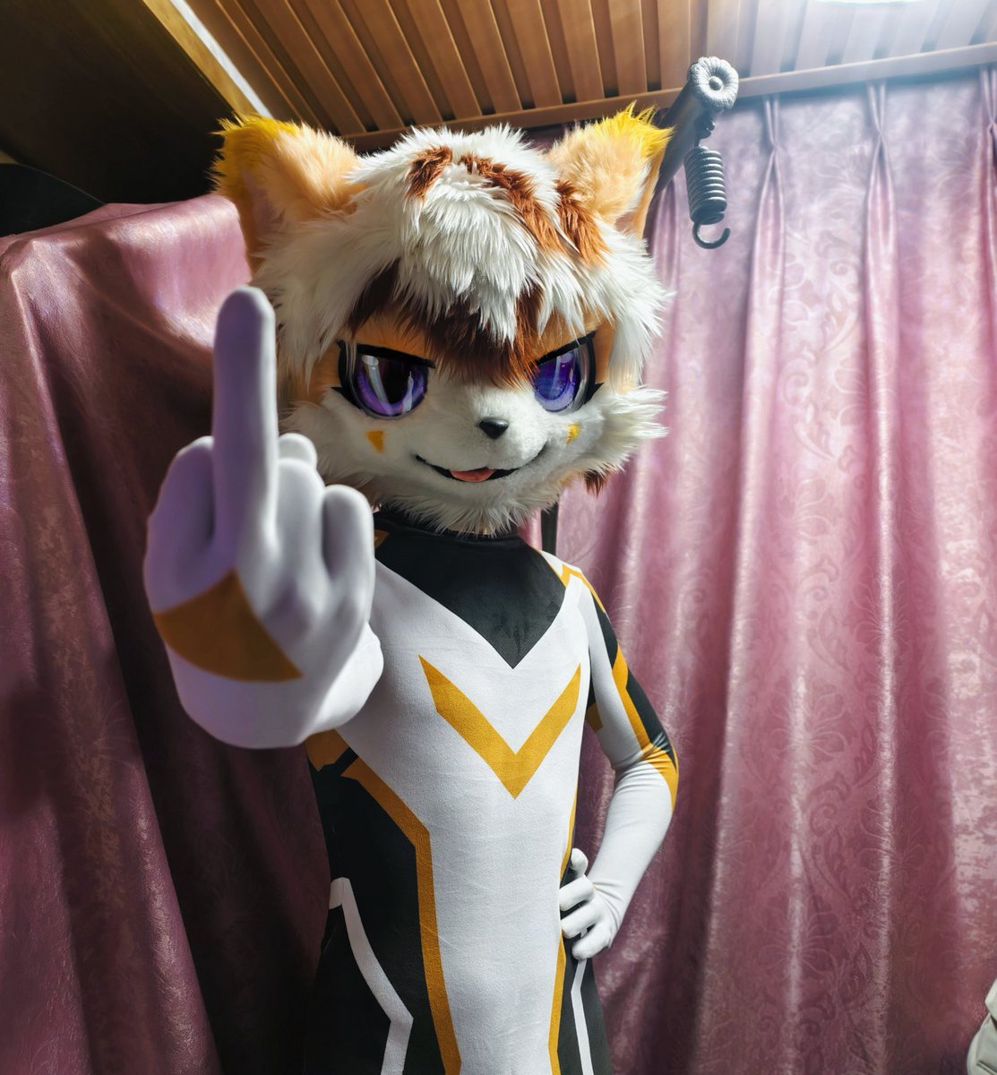 唐糖🔜八奇志 tweet media