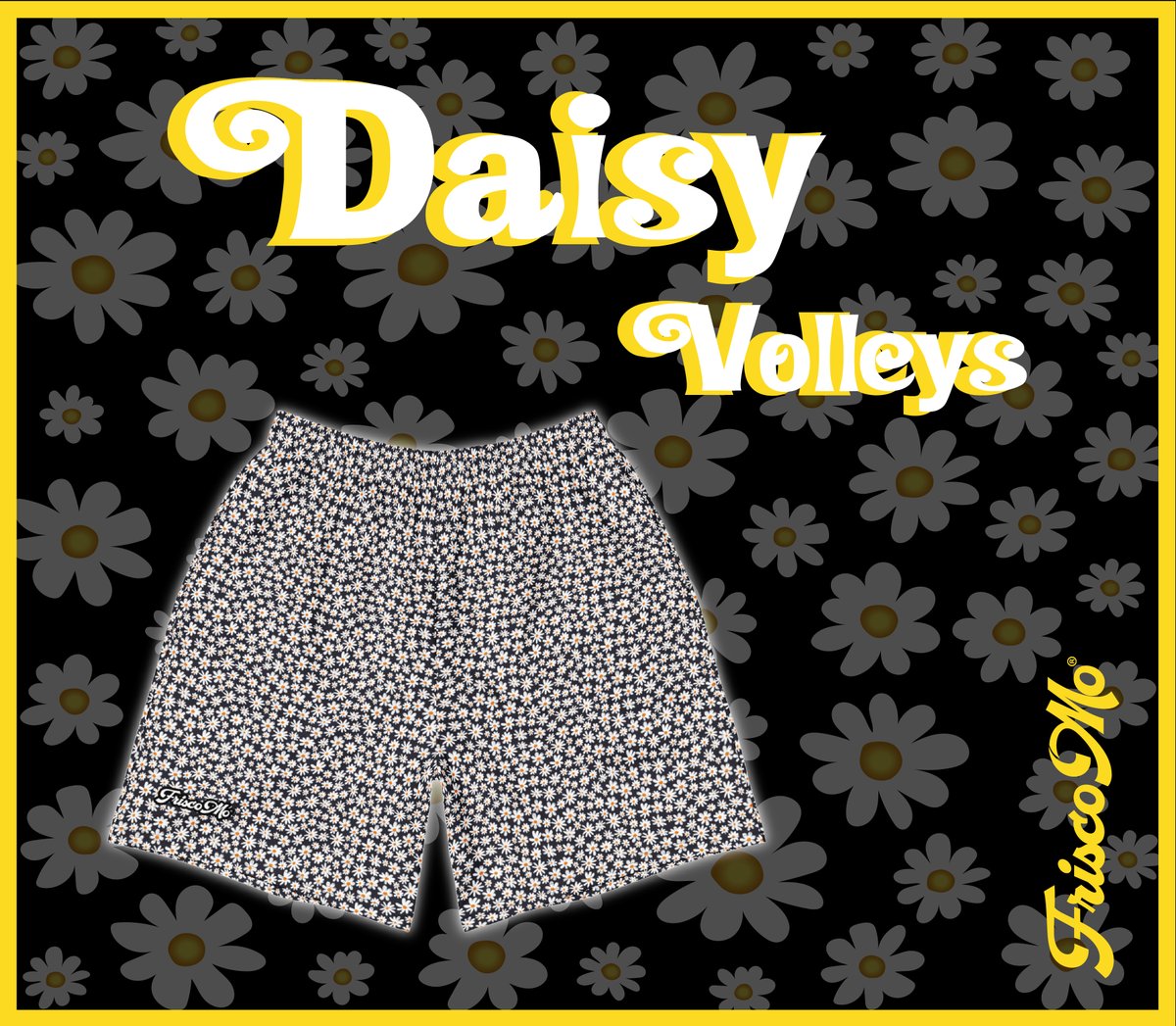 The Volleyball (TVB) tweet media