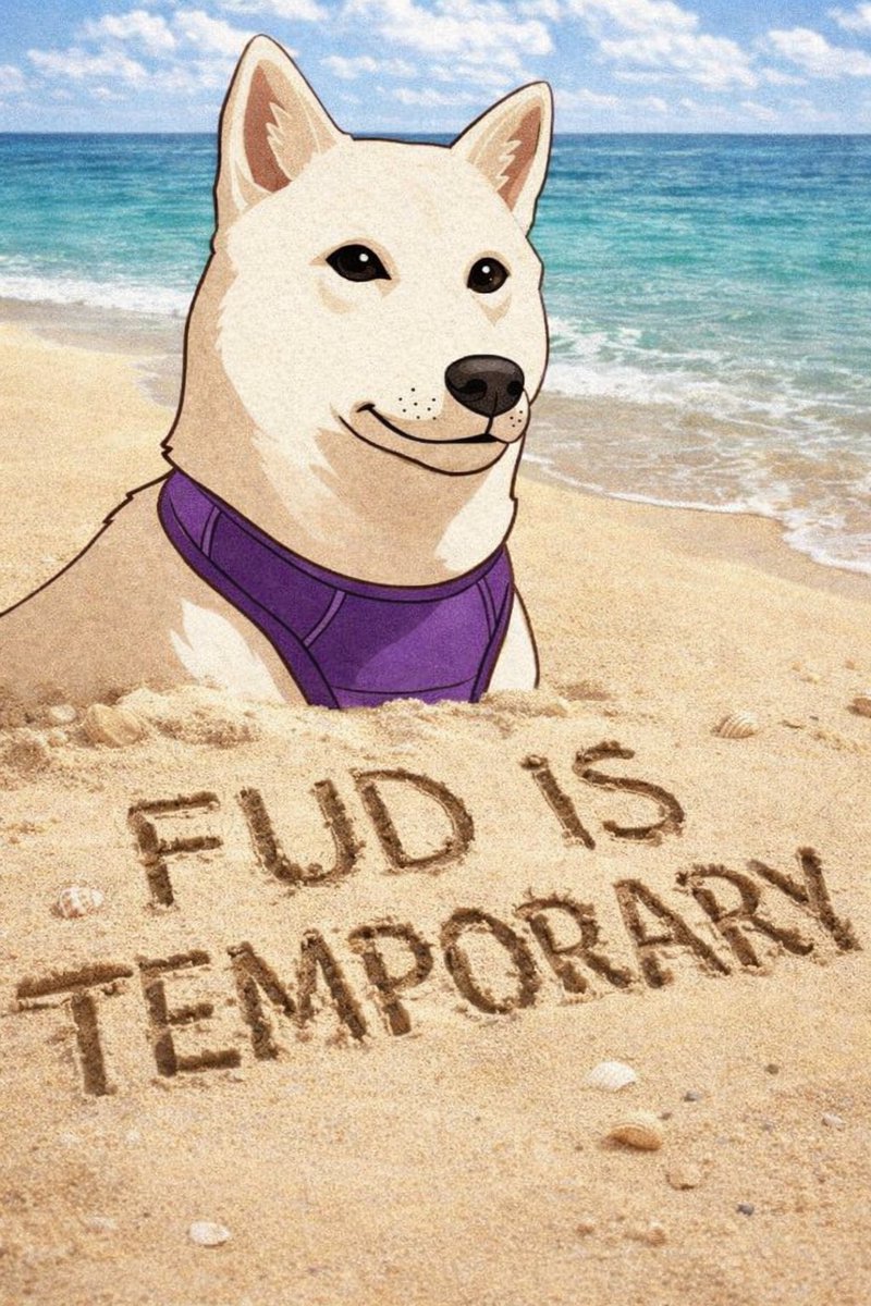 Kurumi 🐕🤍 CTO tweet media